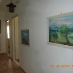 Afrodite Hotell Tínos