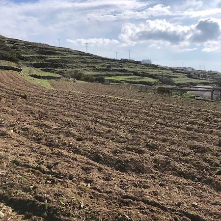 ホテル Afrodite 2*