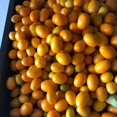 Afrodite ホテル Tínos