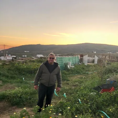 ホテル Afrodite 2*