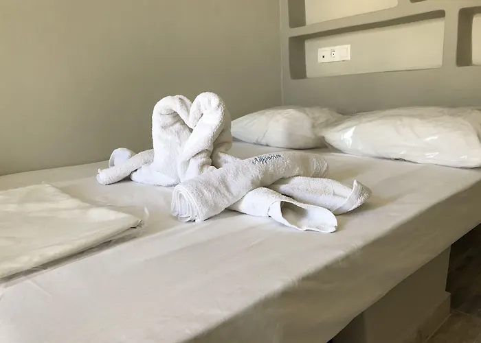 Hotel Afrodite Tinos